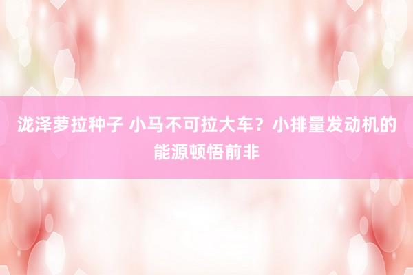 泷泽萝拉种子 小马不可拉大车？小排量发动机的能源顿悟前非