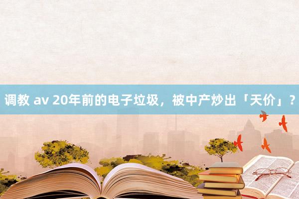 调教 av 20年前的电子垃圾，被中产炒出「天价」？