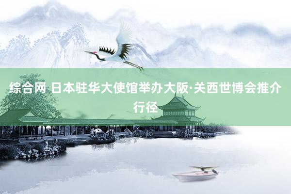 综合网 日本驻华大使馆举办大阪·关西世博会推介行径