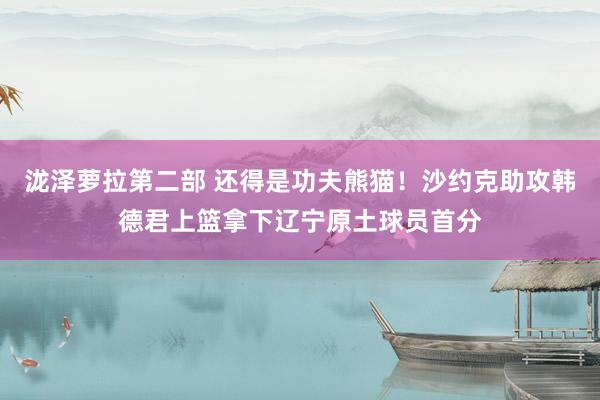 泷泽萝拉第二部 还得是功夫熊猫！沙约克助攻韩德君上篮拿下辽宁原土球员首分
