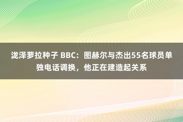 泷泽萝拉种子 BBC：图赫尔与杰出55名球员单独电话调换，他正在建造起关系